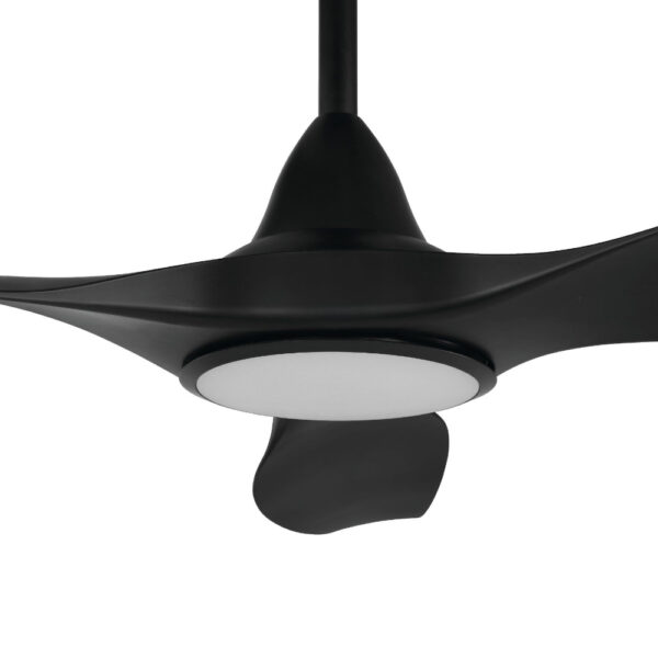 Noosa DC CCT LED Ceiling Fan With Remote - Black 60"
