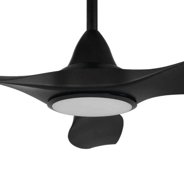Noosa DC CCT LED Ceiling Fan With Remote - Black 52"
