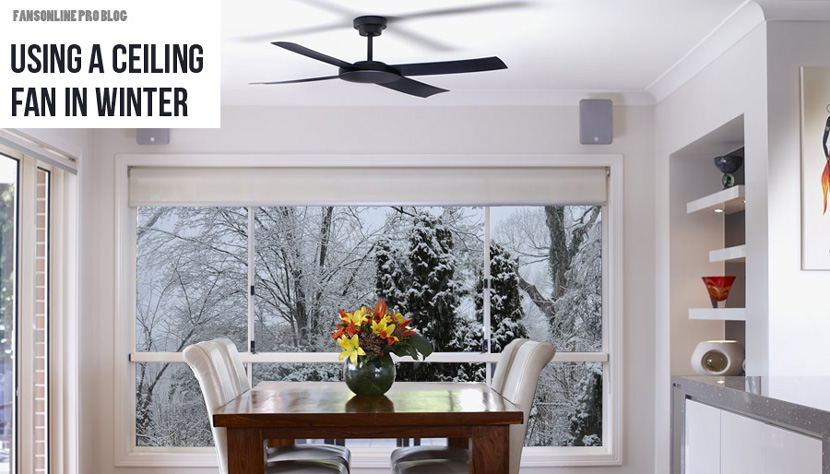 Ceiling Fan Direction For Winter And, Ceiling Fan Moves In Which Direction