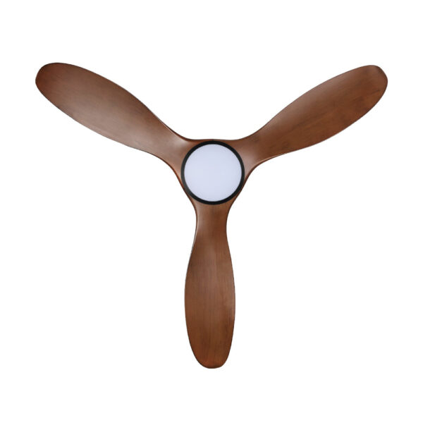 Noosa DC CCT LED Ceiling Fan With Remote - Black With Aged Elm Blades 52"
